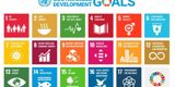 The 17 UN goals